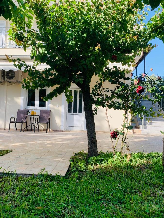 Olive Tree Apartments Lefkada City Luaran gambar