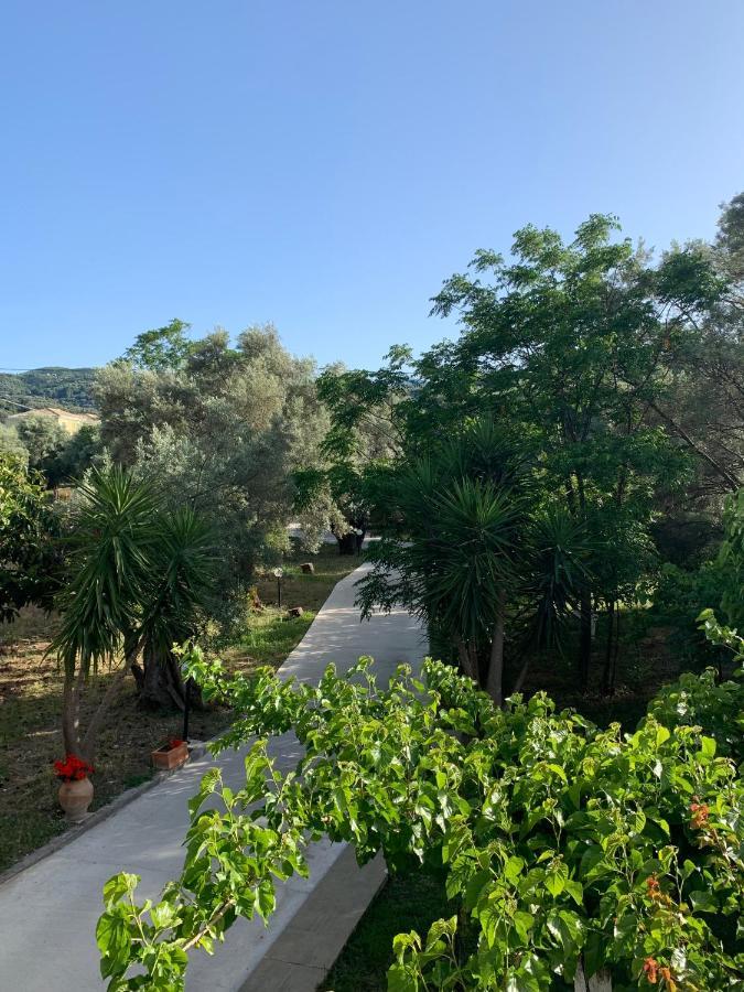 Olive Tree Apartments Lefkada City Luaran gambar